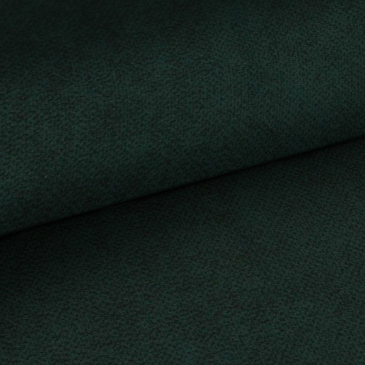 Fabric sample Cloud Black Fern (CLOUD 38)