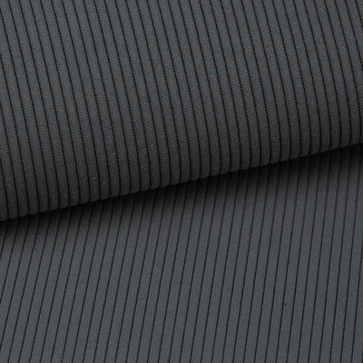 Échantillon de tissu ONTARIO Pierre graphite (ONTARIO 19)