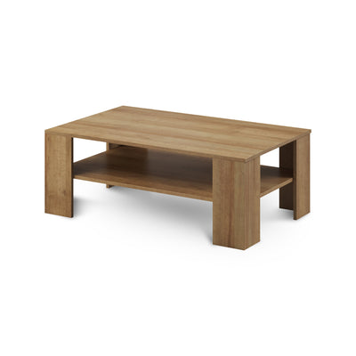 Table basse de salon Gorky 103x38 avec étagère, de style scandinave - photo principale | Pillovely